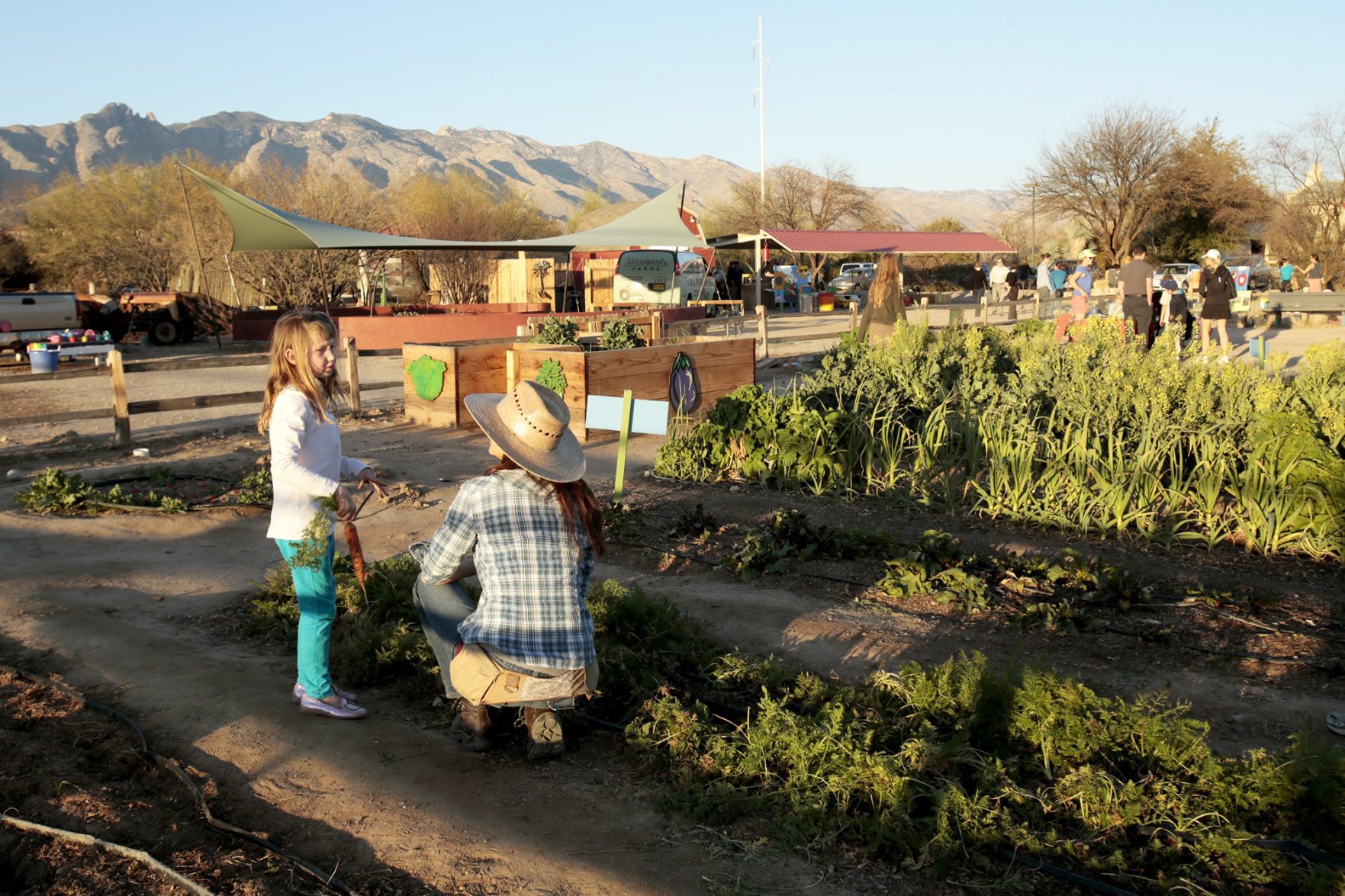 Tucson Village Farm